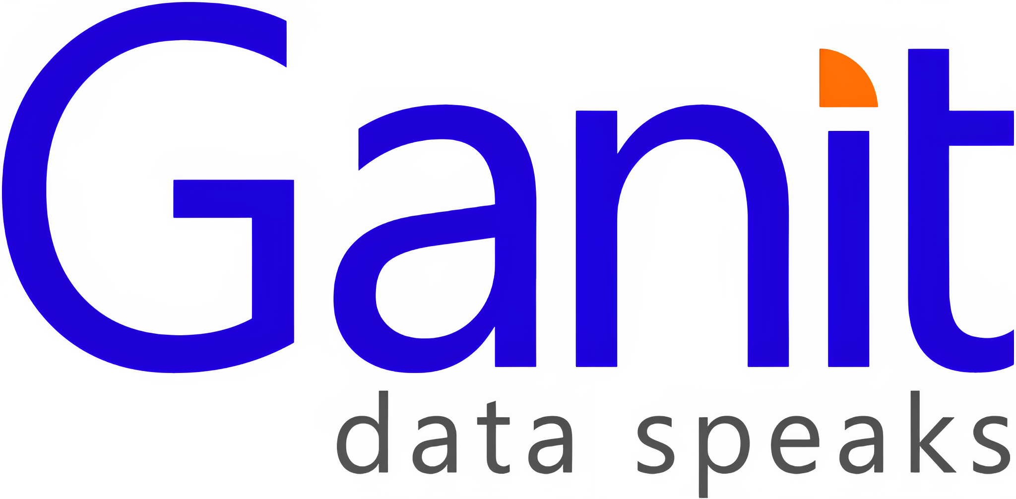 Ganit Business Solutions